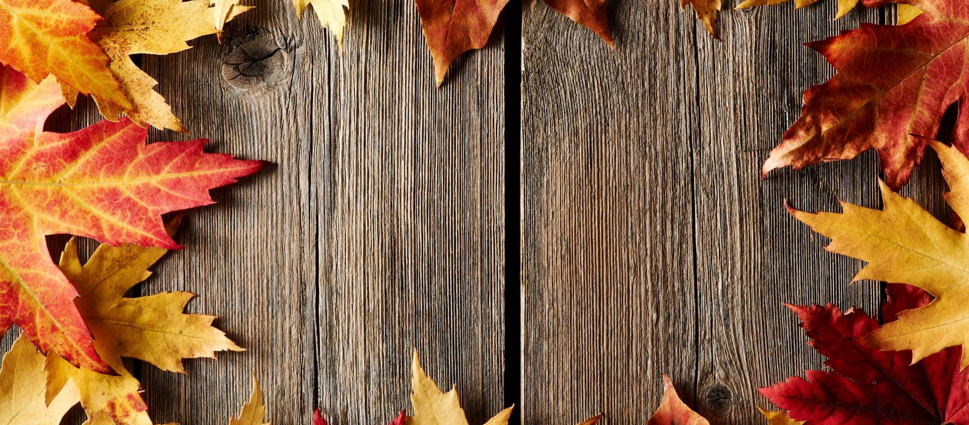 Thanksgiving